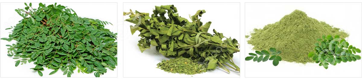 moringa-leaves-powder-production-line.jpg