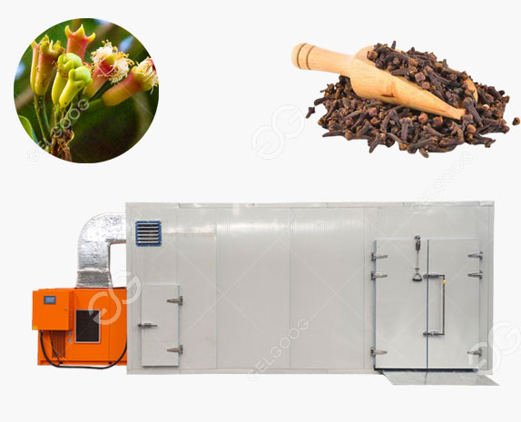 Industrial Cloves Drying Machine Herb Heat Pump Dryer 