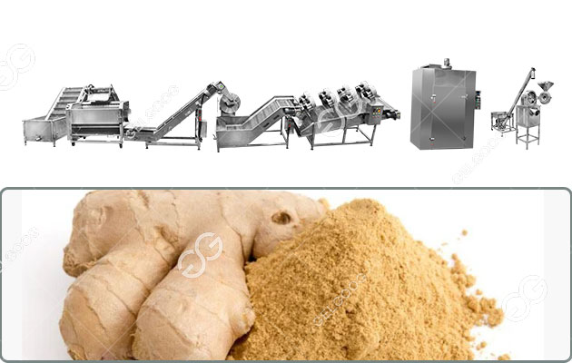 Ginger Powder Making Process Step By Step
